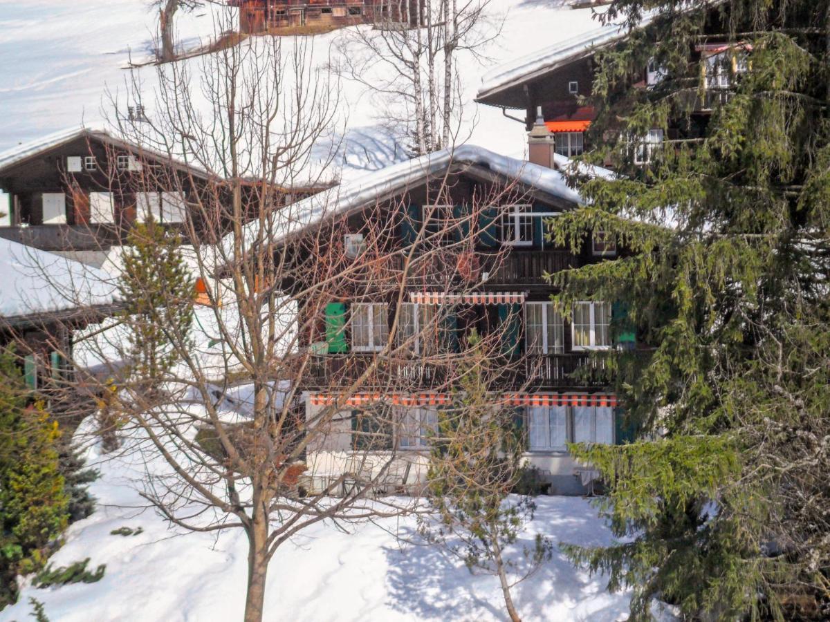 Apartment Chalet Spassvogel By Interhome Гриндельвальд Экстерьер фото